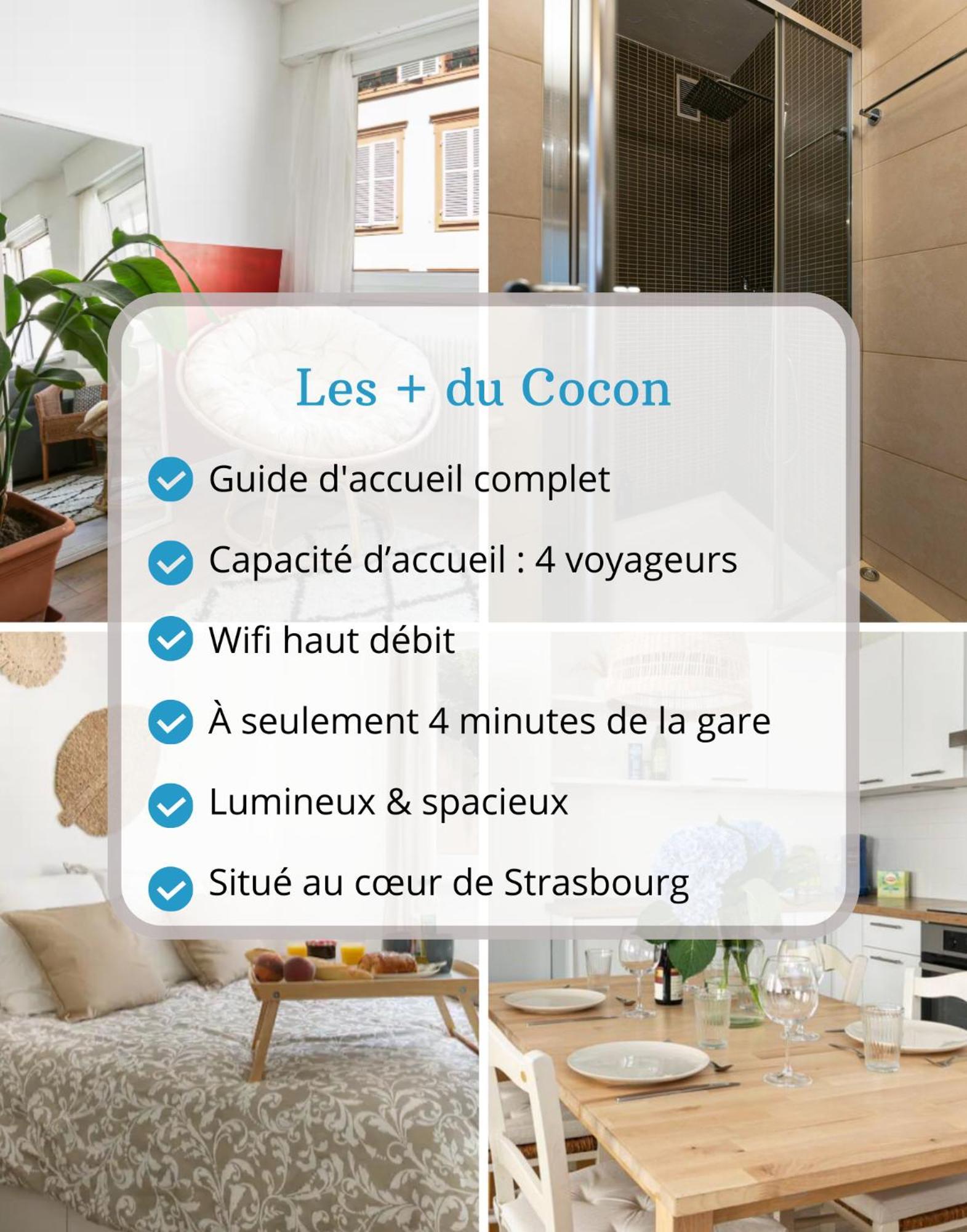 Le Cocon - Proche Gare - Lumineux & Centre Ville - Commerces A Proximite 스트라스부르 외부 사진